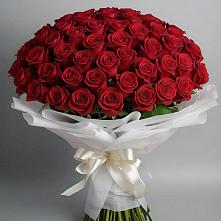 Букет 101 Красная роза Блэк Мэджик в Добрыниху