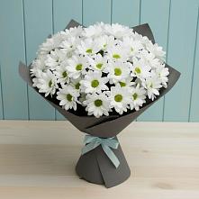 Букет цветов из:  Хризантемы #REPLACE_PRED# Добрыниху