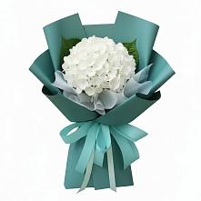 Букет цветов из:  Гортензия #REPLACE_PRED# Добрыниху